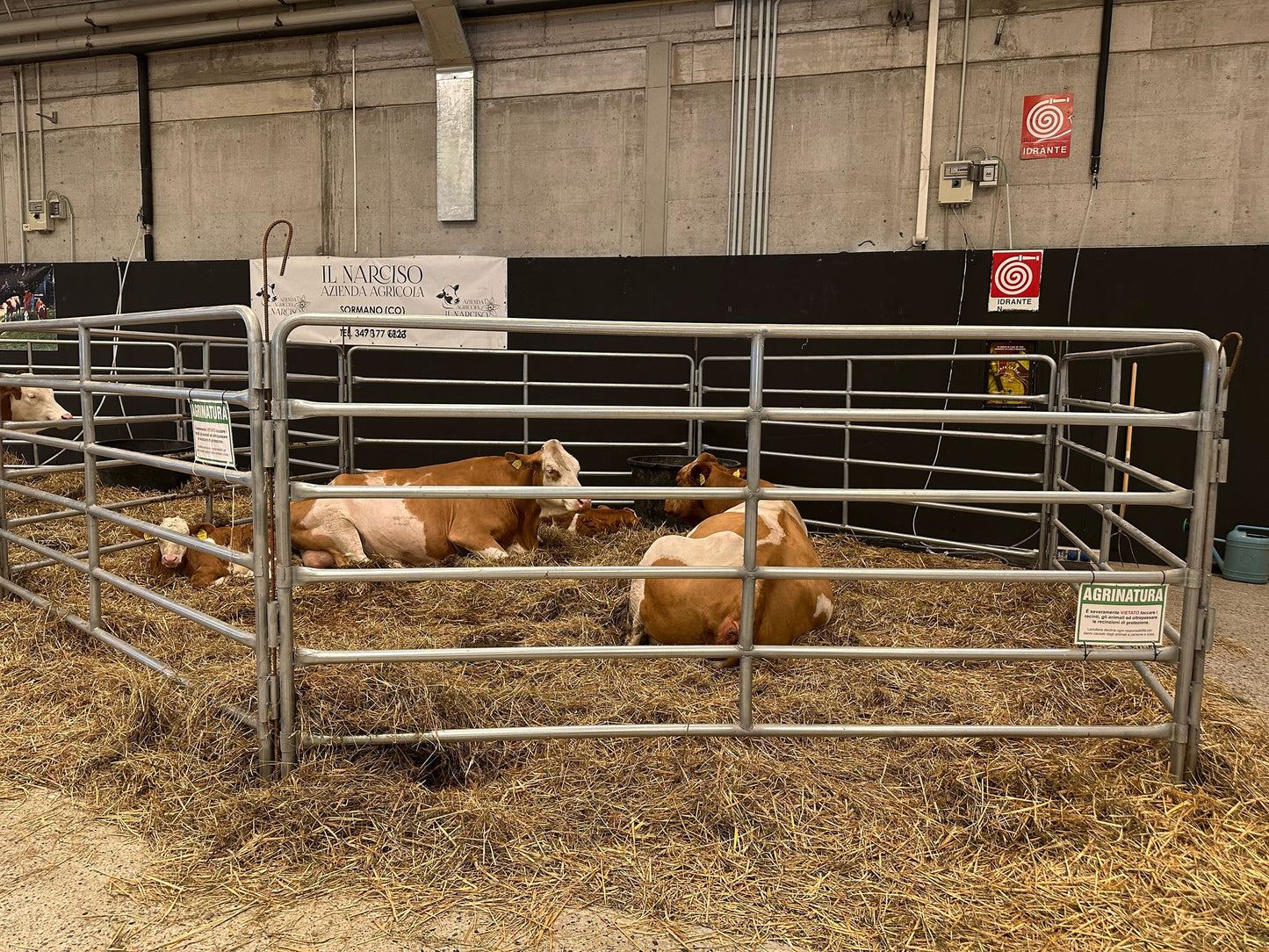 Pocinčane ograde za farme